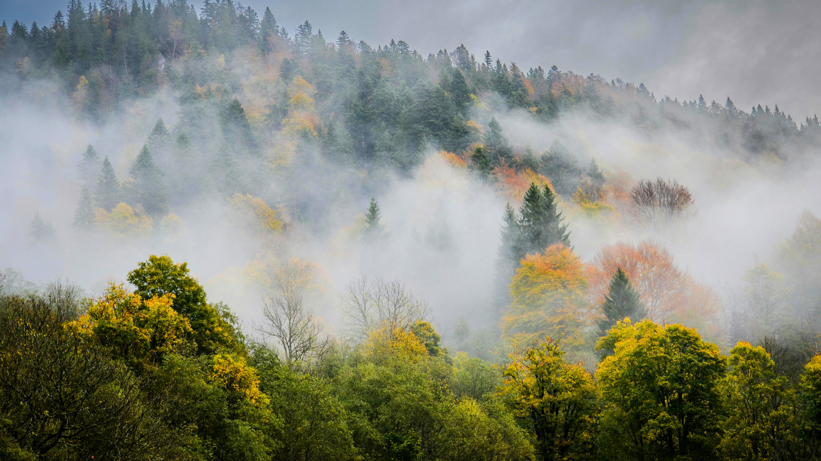 Jesień wkracza do Polski. Sprawdź prognozę pogody na tydzień 22–28 września 2025