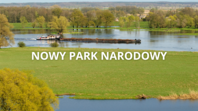 R0zlewisko rzeki na wodzie barka