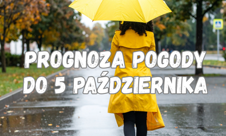 Kobieta w płaszczu i z parasolem idzie przez park. Pada deszcz