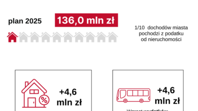Grafika podatek od nieruchomości