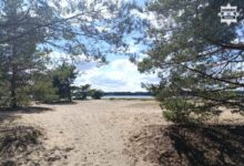 śmierć nad Zalewem Porajskim