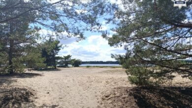 śmierć nad Zalewem Porajskim