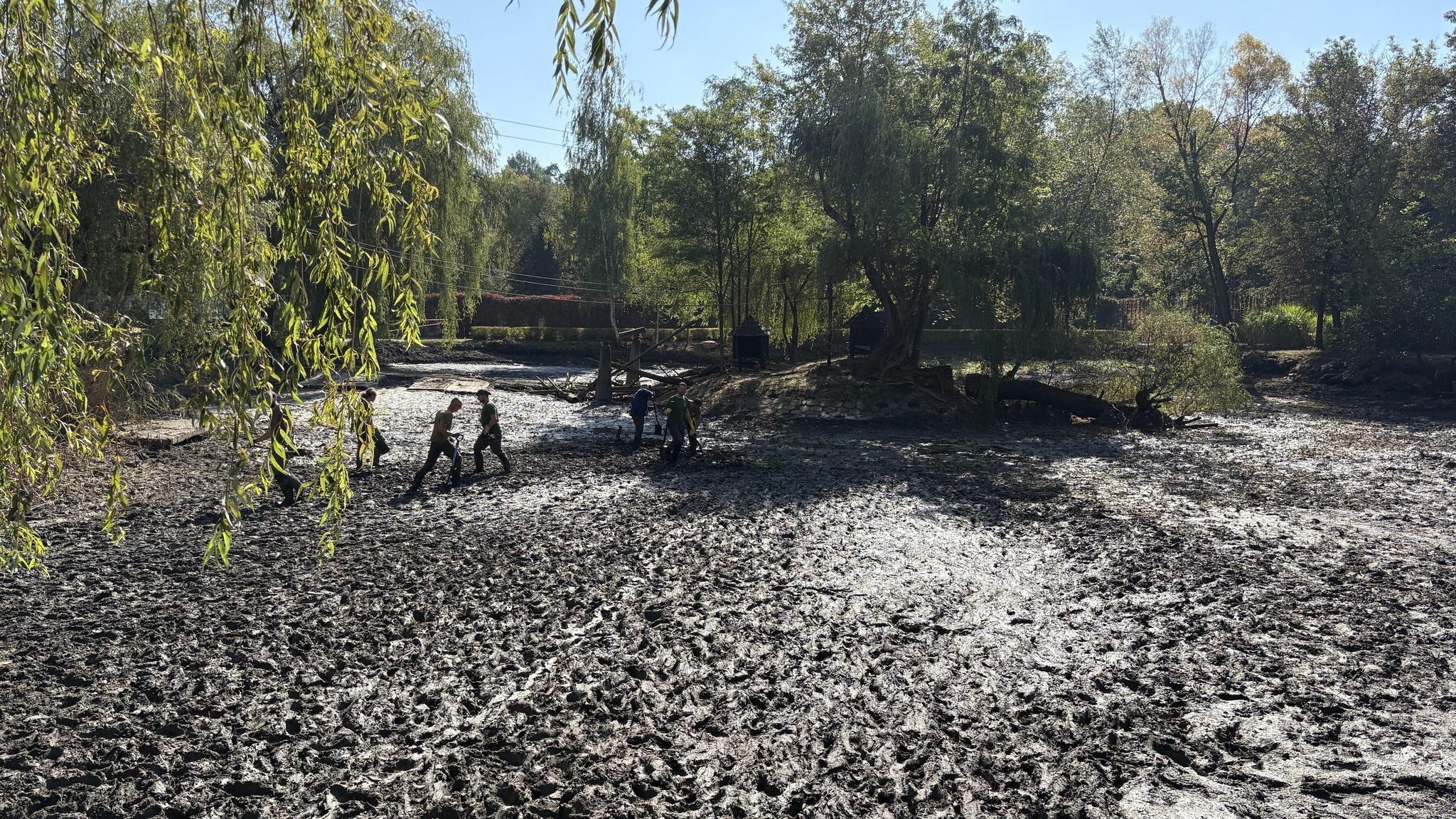 Staw w Śląskim Zoo pod lupą internautów – spór z grupą „I love Śląskie Zoo”