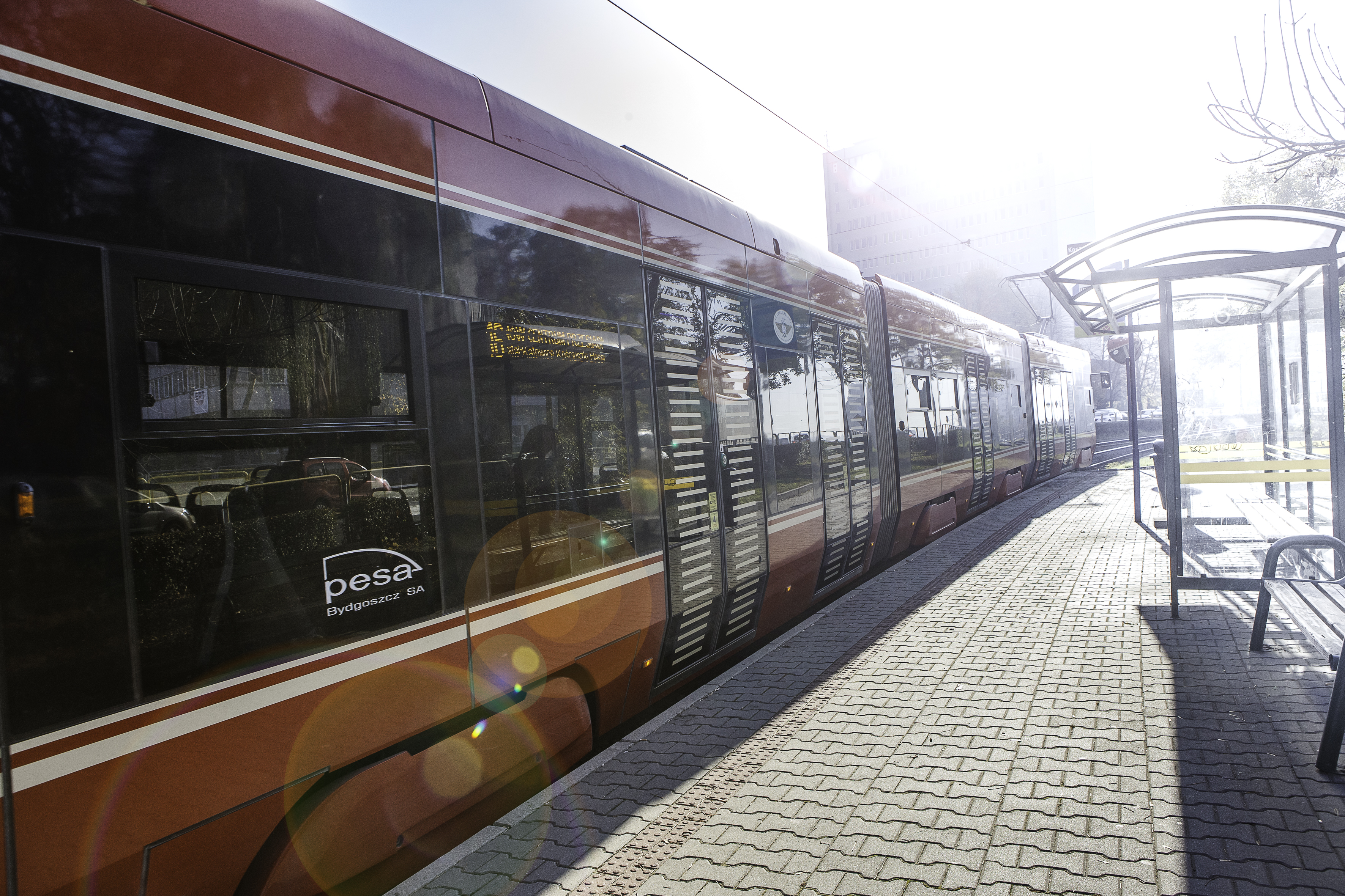 Polska – Nowa Zelandia na Stadionie Śląskim. Dojedziesz za darmo autobusem i tramwajem!