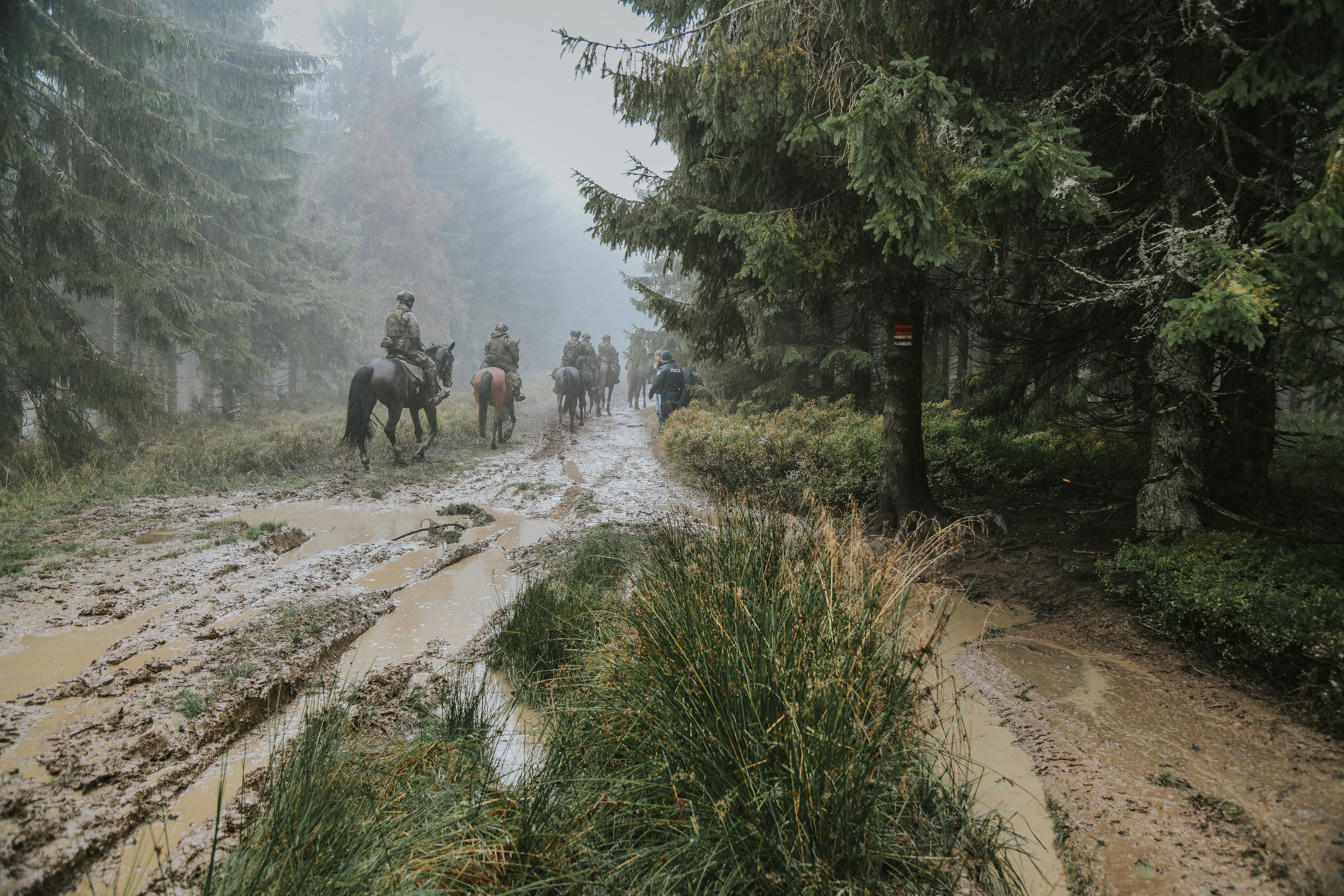 Halny 2025 w akcji! Straż Graniczna, GOPR i WOT w ekstremalnym teście (zdjęcia)