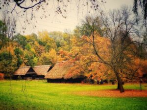 Muzeum Górnośląski Park Etnograficzny w Chorzowie