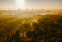 Wschód słońca nad Parkiem Śląskim