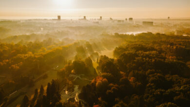 Wschód słońca nad Parkiem Śląskim