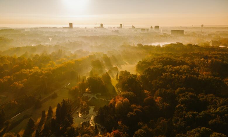 Wschód słońca nad Parkiem Śląskim