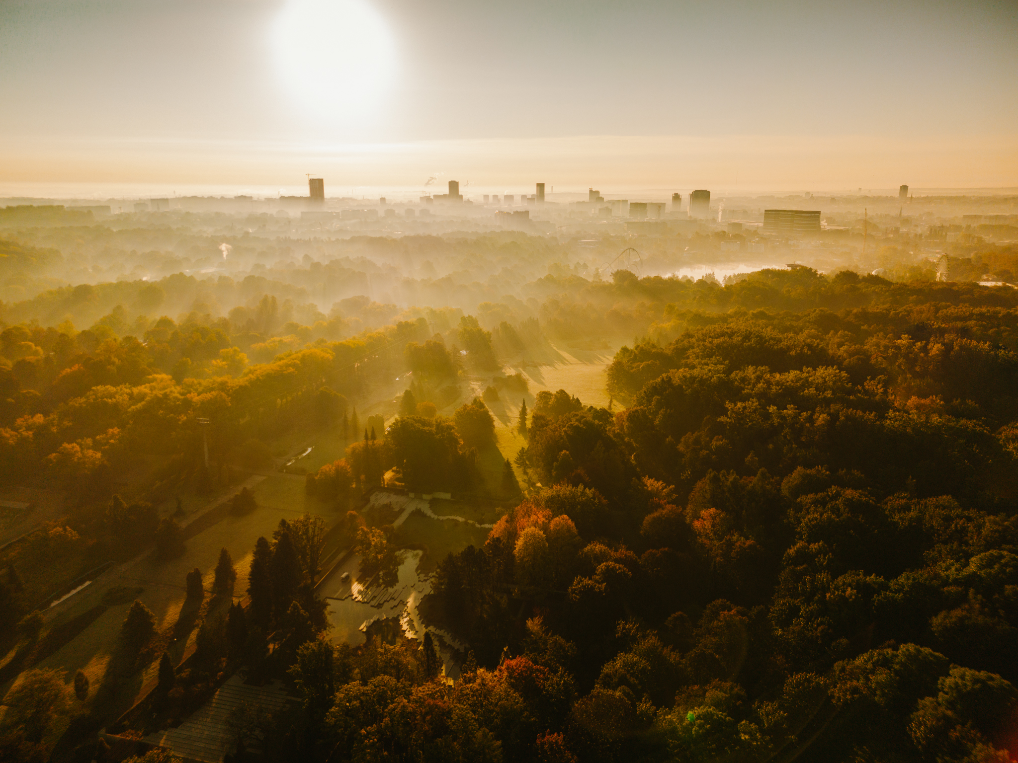 EKOPARK – zielona perła Śląska. Rusza projekt ekologiczny w Parku Śląskim