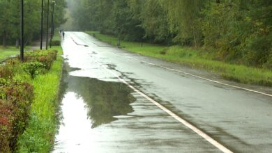 Dolina Trzech Stawów Katowice