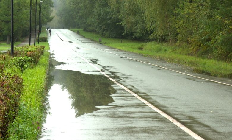 Dolina Trzech Stawów Katowice