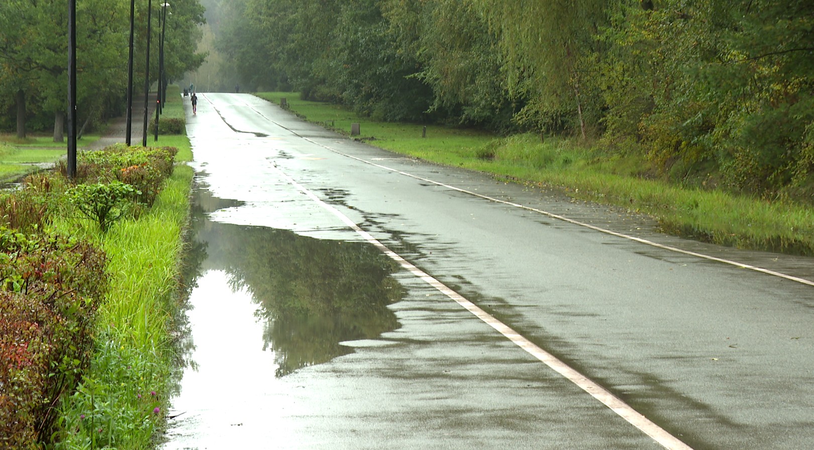 Dolina Trzech Stawów w Katowicach zyska nowe oblicze. Rusza naprawa szkód górniczych i budowa kanalizacji