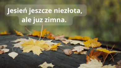 Jesień liście na parasolu