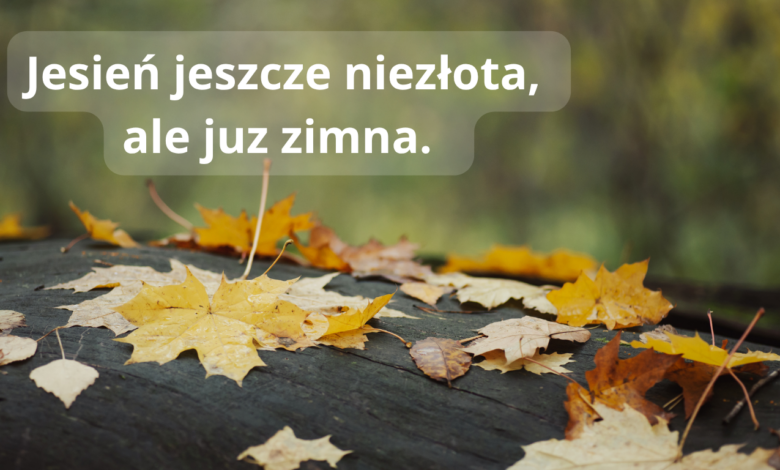 Jesień liście na parasolu