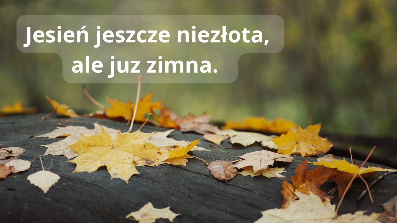 Weekendowa prognoza pogody – 4–5 października 2025