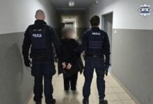 Kobieta zatrzymana prowadzona przez policjantów