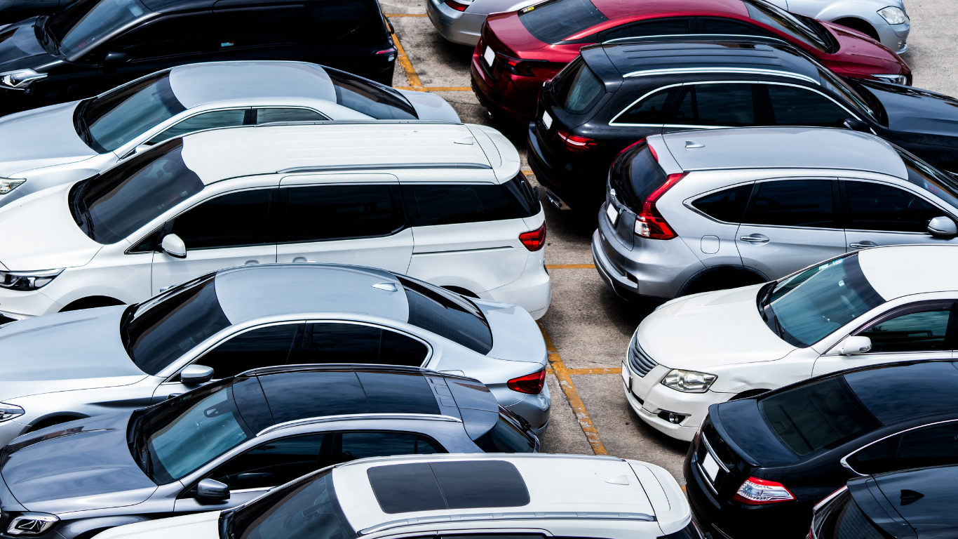 Polska – Nowa Zelandia na Stadionie Śląskim. Gdzie zaparkować i ile to kosztuje?