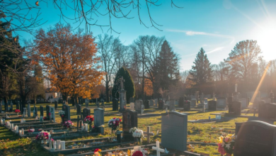 cmentarz groby słoneczny dzień