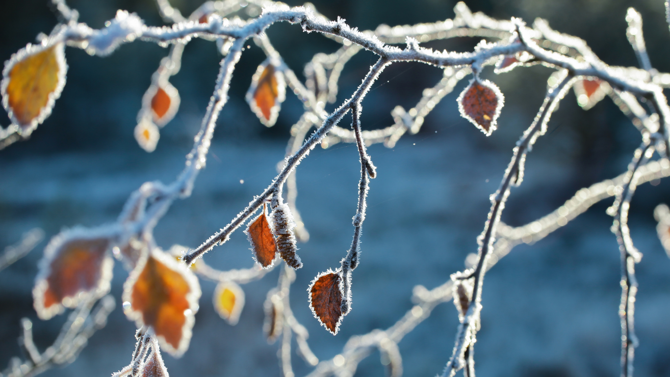 Zimna noc w Polsce. Mroźne powietrze uderzy na południu i w górach