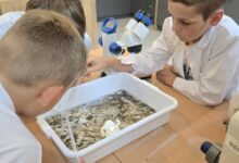 warsztaty ekologiczne młodzi ludzie podczas eksperymentu