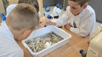 warsztaty ekologiczne młodzi ludzie podczas eksperymentu