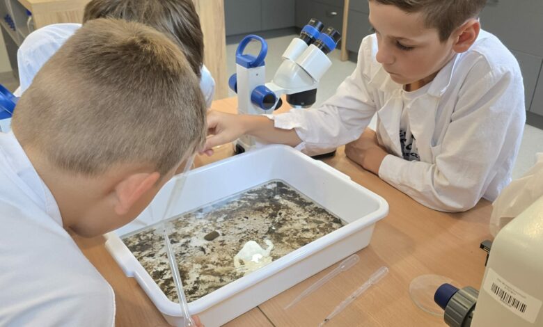 warsztaty ekologiczne młodzi ludzie podczas eksperymentu