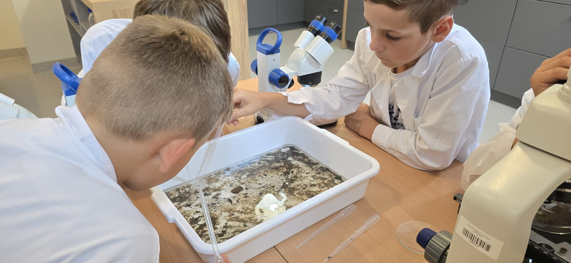 Ekowarsztaty w Porąbce uczą dzieci, jak chronić planetę