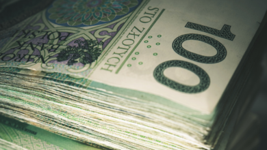 Ile zarabiają Polacy - plik banknotów