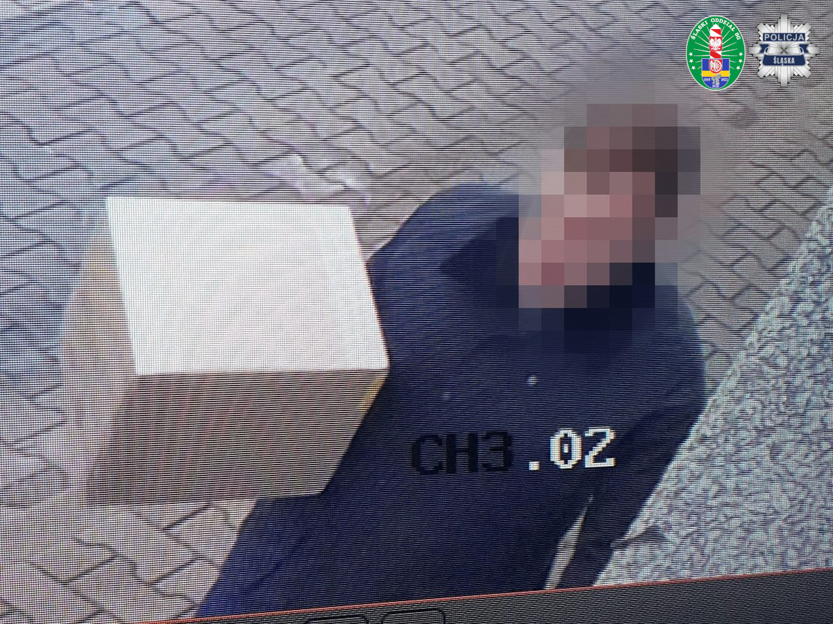 [Wideo] Gang z Katowic rozbity. Marihuana z USA trafiała przez Czechy na Śląsk – 120 kilogramów przejętych