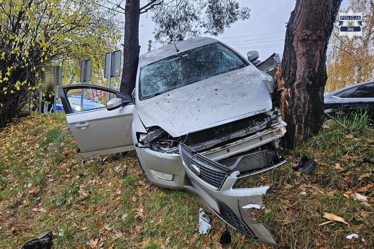 System eCall zaalarmował służby – pijany kierowca wjechał fordem w drzewo w Żorach