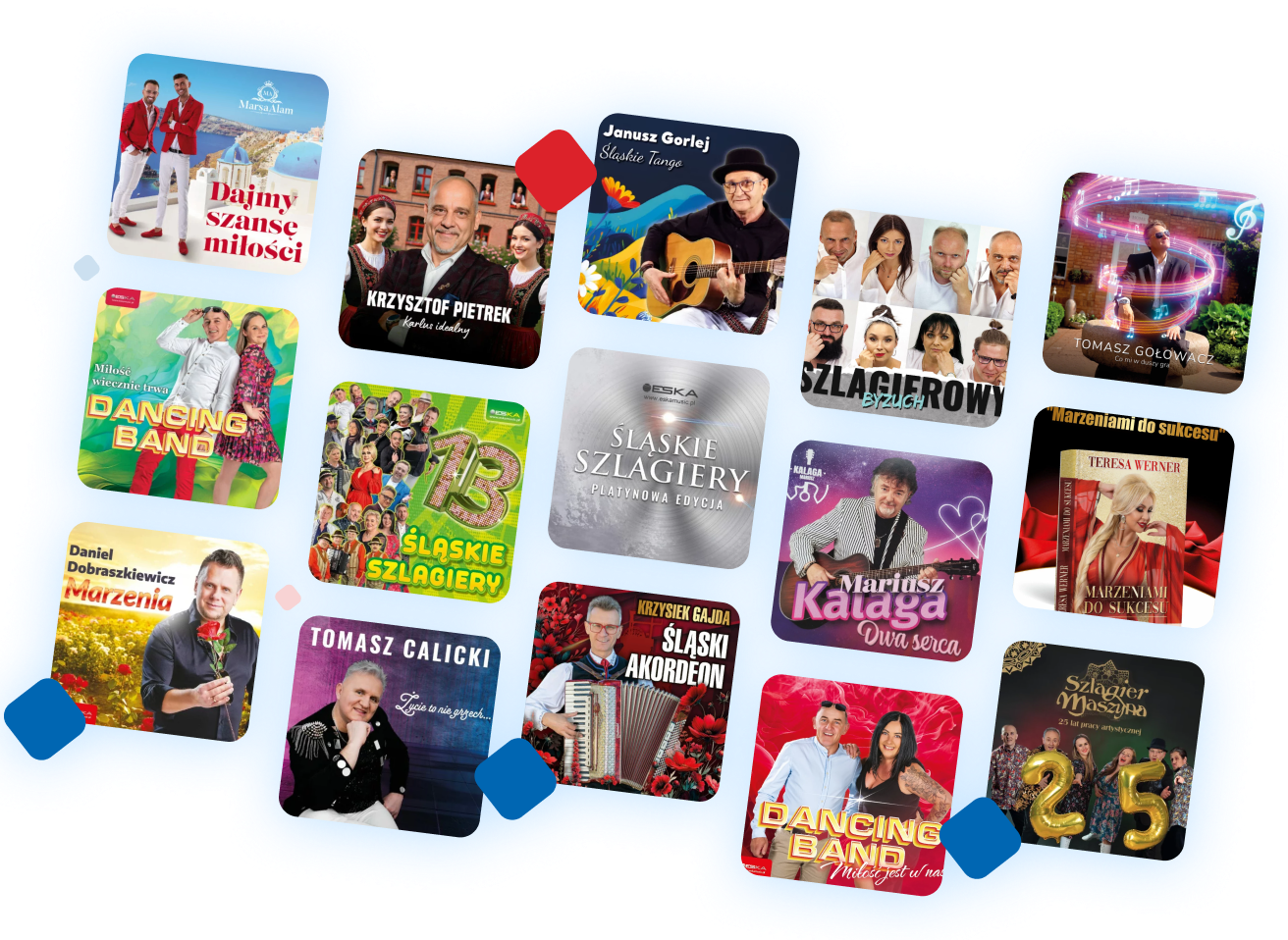 Obrazek pokazujący bogatą ofertę płytową w sklepie TVS