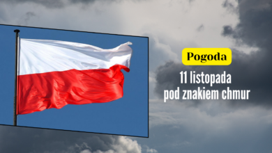 pogoda 11 listopada