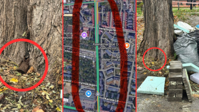 niewybuch w gliwicach