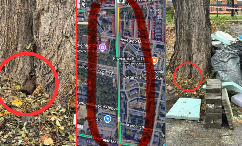 niewybuch w gliwicach