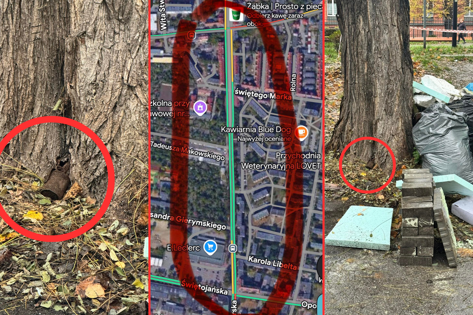 Gliwice: Znaleziono niewybuch. Występują utrudnienia w ruchu