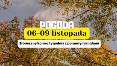 prognoza pogody