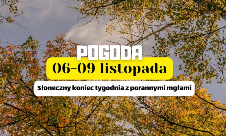prognoza pogody