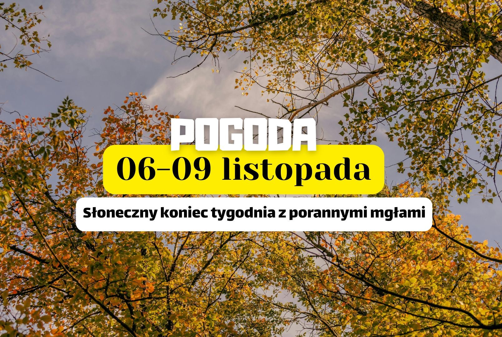Prognoza pogody: Słoneczny koniec tygodnia z porannymi mgłami
