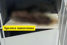 Kot w automacie sprawa umorzona