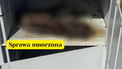 Kot w automacie sprawa umorzona