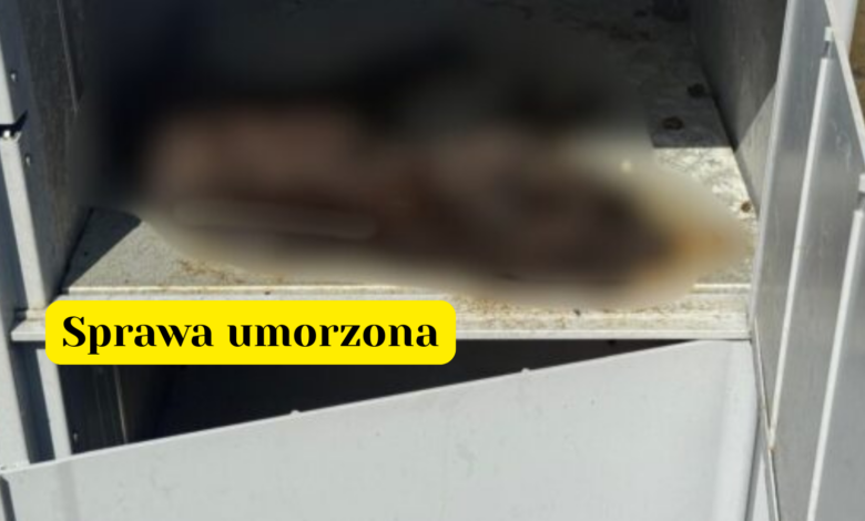 Kot w automacie sprawa umorzona