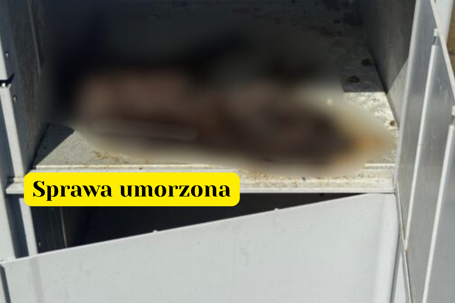 Sprawa kota zamkniętego w automacie paczkowym: śledztwo umorzone, bo nie ma dowodów