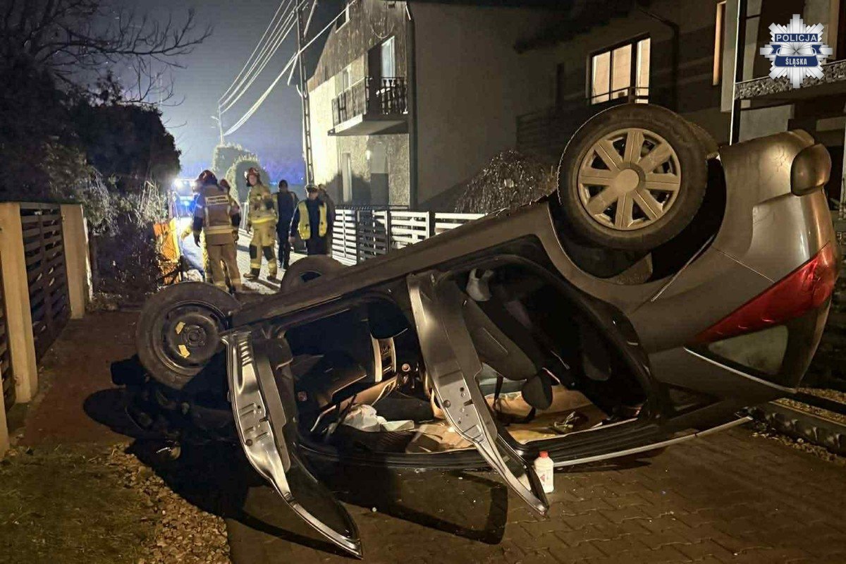 Częstochowa: Policyjny pies tropiący „Wafel” wskazał sprawcę zdarzenia