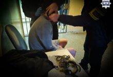 zabójstwo partnerki