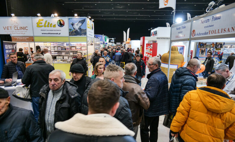 17.Targi EXPOGołębie w Katowicach