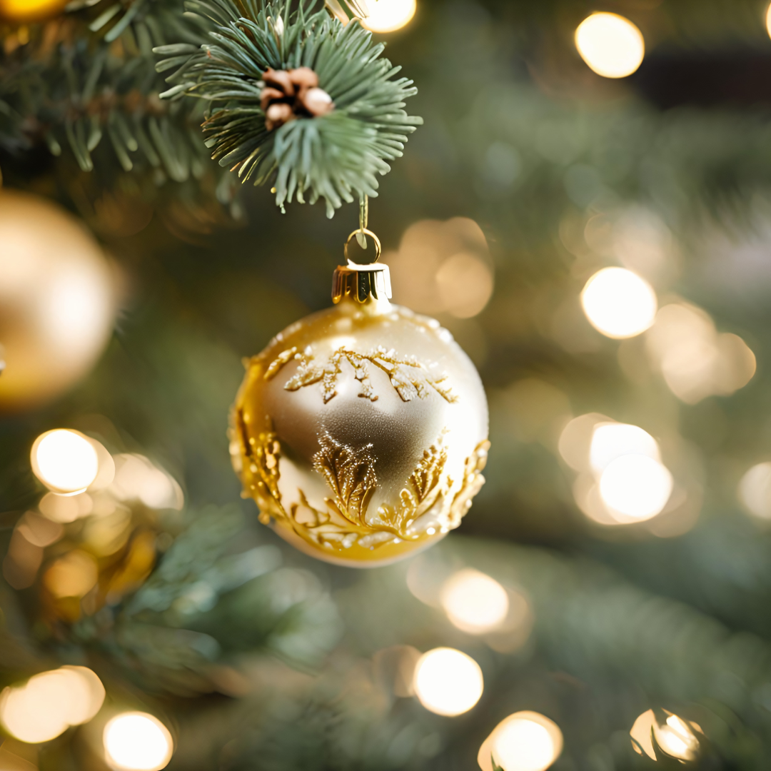 Rekordy Guinnessa w świątecznym wydaniu