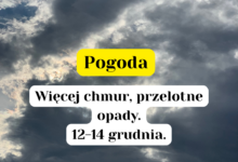 pogoda 12-14