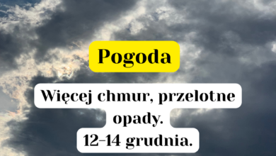 pogoda 12-14