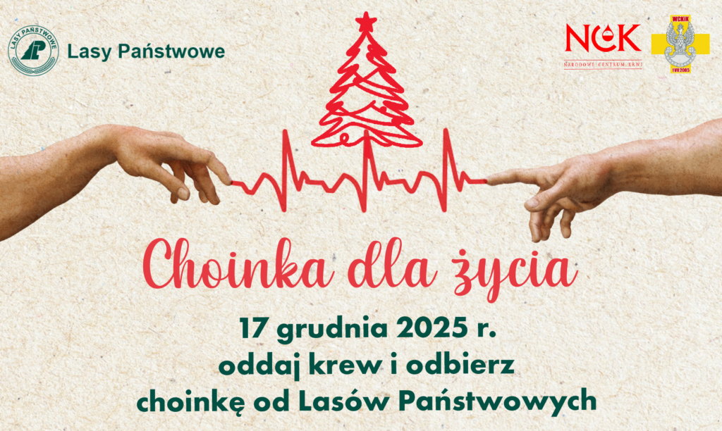 Choinka dla życia: podaruj krew, odbierz świąteczne drzewko – już jutro rusza ogólnopolska akcja